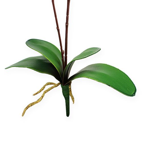 Floristik24 Orquídea artificial con hojas Rosa 68cm
