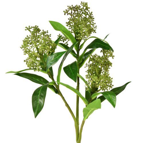 Floristik24 Flores artificiales verde Skimmia japonica Skimmie 45cm 2ud