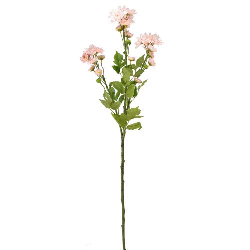 Artículo Flores Artificiales Asters Artificiales Flores De Seda Rosa 80cm
