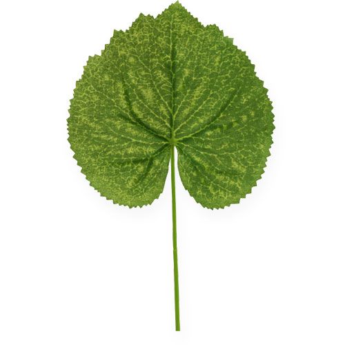Planta decorativa hojas Galax W10cm L22cm 24pcs