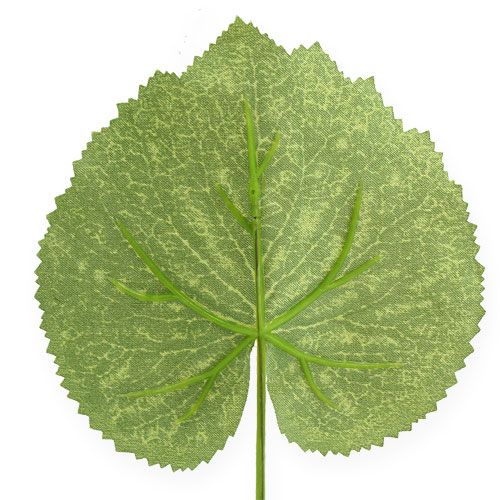 Artículo Planta decorativa hojas Galax W10cm L22cm 24pcs