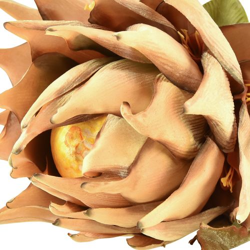 Artículo Planta artificial alcachofa crema aspecto seco Ø15cm 73cm