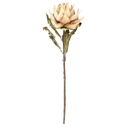Artículo Planta artificial alcachofa crema aspecto seco Ø15cm 73cm