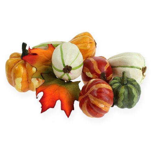 Mezcla de calabaza colorida 12pcs | Floristik24.es