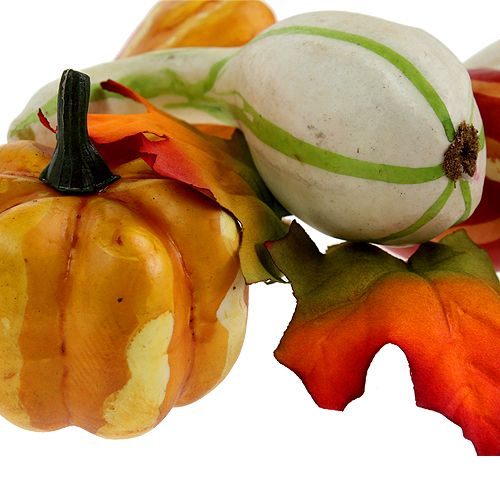 Mezcla de calabaza colorida 12pcs | Floristik24.es
