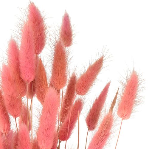 Artículo Lagurus Cola De Conejo Seca Hierba Rosa L45cm 50g