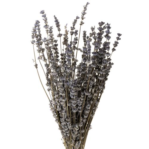 Artículo Flores secas fragantes de lavanda 35-40cm 50g