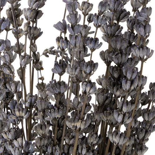 Artículo Flores secas fragantes de lavanda 35-40cm 50g