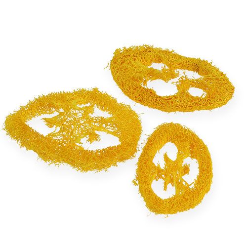 Floristik24 Discos Luffa amarillos 25 uds.
