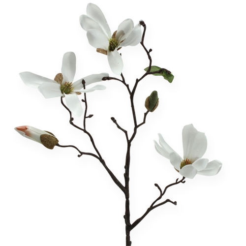Floristik24 Deco Branch Magnolia 40cm Blanco 4pcs