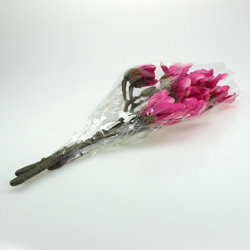Floristik24 Magnolia rama 45cm 3pcs