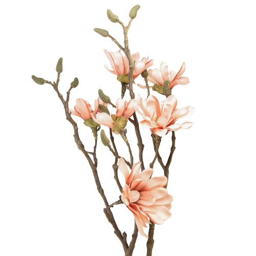 Floristik24 Rama de magnolia con 6 flores Magnolia artificial salmón 84cm
