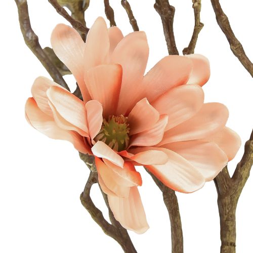 Floristik24 Rama de magnolia con 6 flores Magnolia artificial salmón 84cm