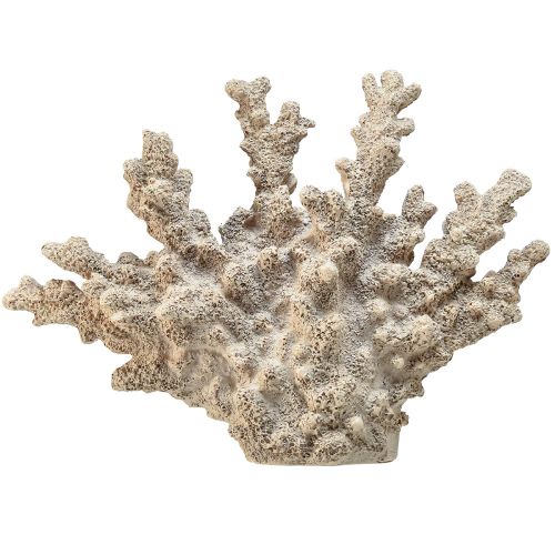 Floristik24 Decoración detallada de coral de poliresina en color gris - 26 cm - Elegancia marítima para tu hogar