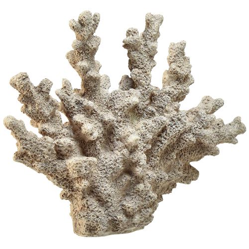 Floristik24 Decoración detallada de coral de poliresina en color gris - 26 cm - Elegancia marítima para tu hogar