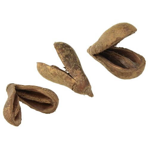 Mike Fruit Natural Materials Bagon Fruit Natural 8cm 50uds