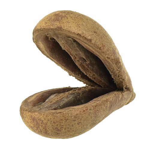 Floristik24 Mike Fruit Natural Materials Bagon Fruit Natural 8cm 50uds