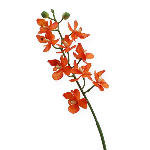 Floristik24 Mini Orquídea Real Touch Naranja 35cm