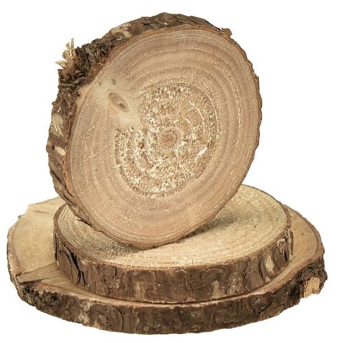 Artículo Mini discos de madera discos decorativos de árbol natural Ø3-6cm 600g