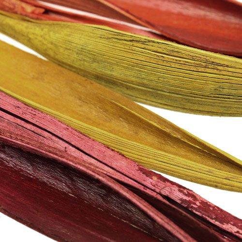 Floristik24 Mini culo de hoja de coco de 3 colores. 0,5 kilogramos