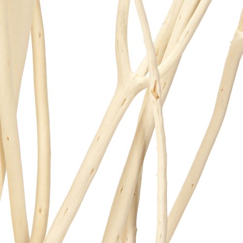 Artículo Ramas de Mitsumata blancas 34-60cm 12 piezas