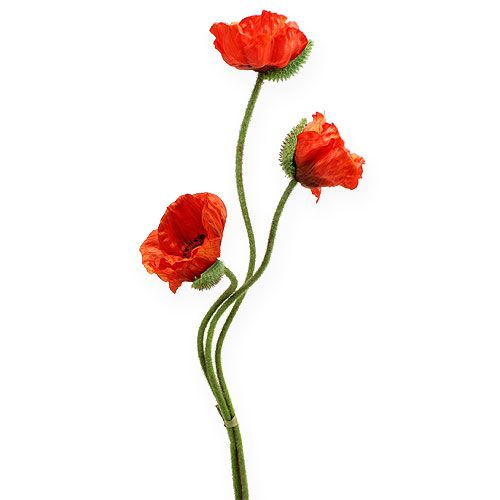 Floristik24 Flor Artificial Amapola Naranja 75cm 3pcs