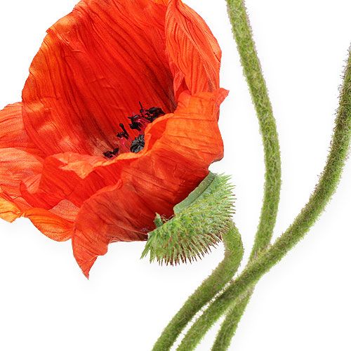 Floristik24 Flor Artificial Amapola Naranja 75cm 3pcs