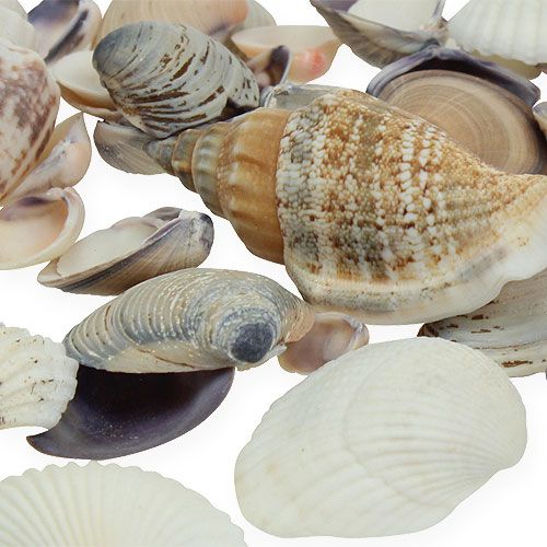 Artículo Mezcla de mejillones al natural 400g