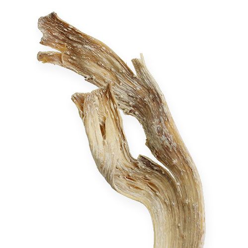 Mezcla de madera de asta Natraj blanqueada 10 piezas