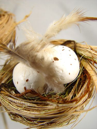 Floristik24 Nido de pájaros con huevos en la barra 6cm 6pcs