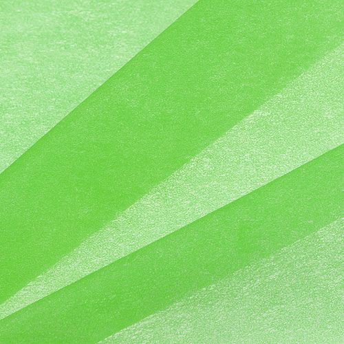 Floristik24 Polar decorativo 60cm x 20m verde