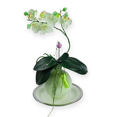 Floristik24 Bolas de espuma verde 9cm 4pcs