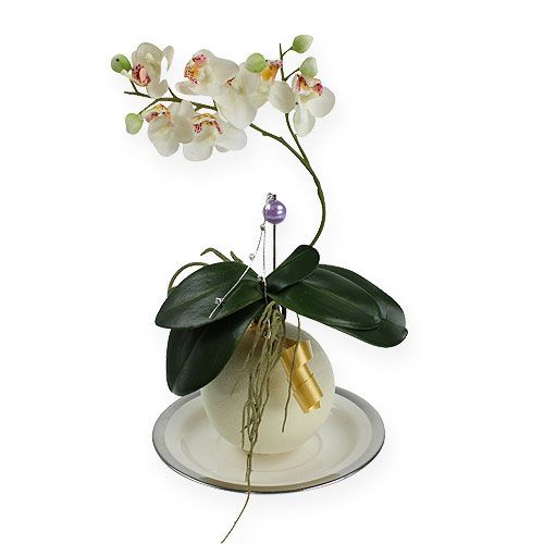 Floristik24 Bolas de espuma crema 9cm 4pcs
