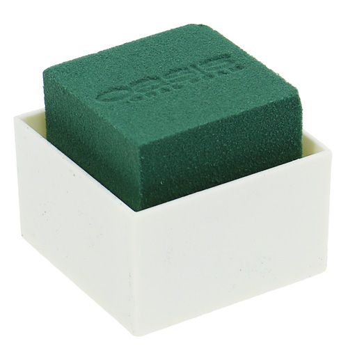 Floristik24 Mesa OASIS® Diseño 6cm Neo &amp; Viva 24 piezas