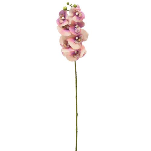 Artículo Orquídea Phalaenopsis artificial 7 flores violeta crema 73cm