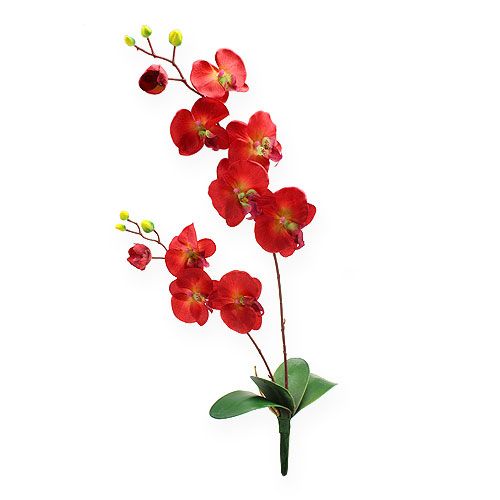 Floristik24 Deco orquidea roja 68cm