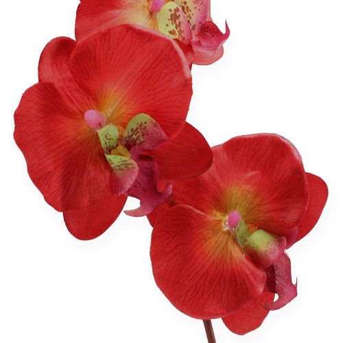 Artículo Deco orquidea roja 68cm
