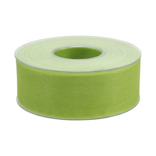 Floristik24 Cinta de organza con orillo 4cm 50m verde claro