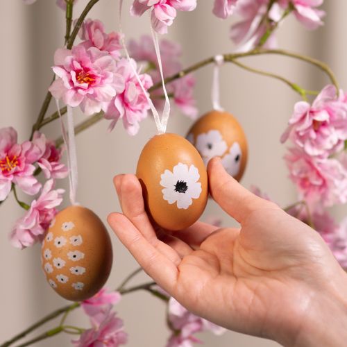 Artículo Decoración colgante de huevo de Pascua, primavera, Pascua, huevos de gallina reales, natural, 6 cm, 6 piezas