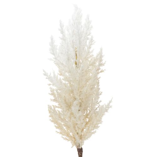 Floristik24 Hierba blanca de la Pampa, hierbas secas artificiales, plantas artificiales