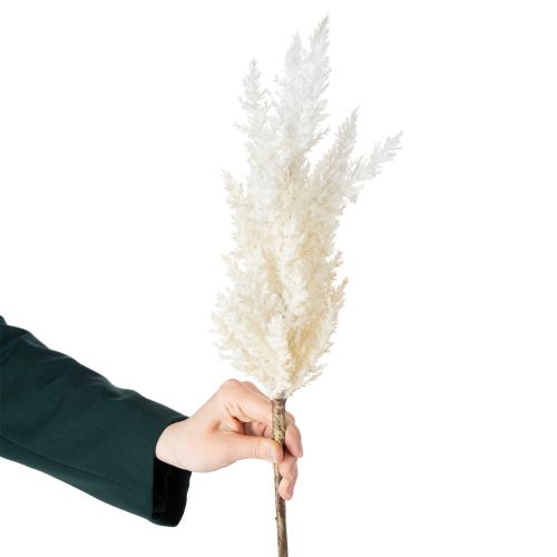 Artículo Hierba blanca de la Pampa, hierbas secas artificiales, plantas artificiales