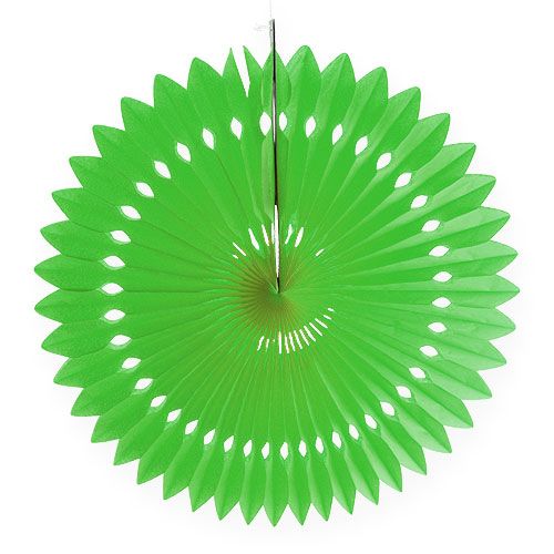 Floristik24 Panal de papel flor verde Ø40cm 4pcs