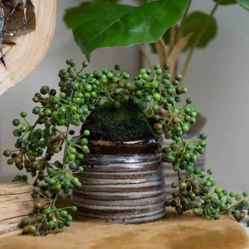 Floristik24 Hilo de perlas artificiales de planta verde en bola de musgo 38cm