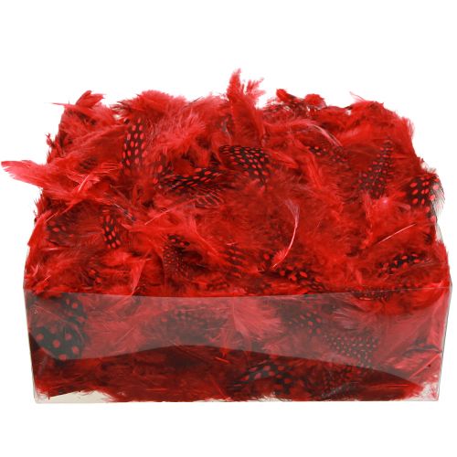 Artículo Plumas de gallina de Guinea Faraona 30g rojo