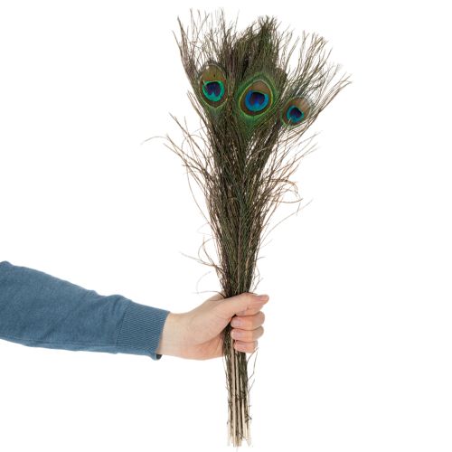 Artículo Plumas de pavo real, plumas de ave auténticas para manualidades y decoración, 55 cm, 10 unidades