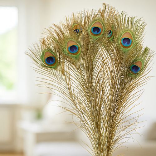Artículo Plumas de pavo real decorativas, plumas de ave reales, largo 75-85 cm, 8 piezas