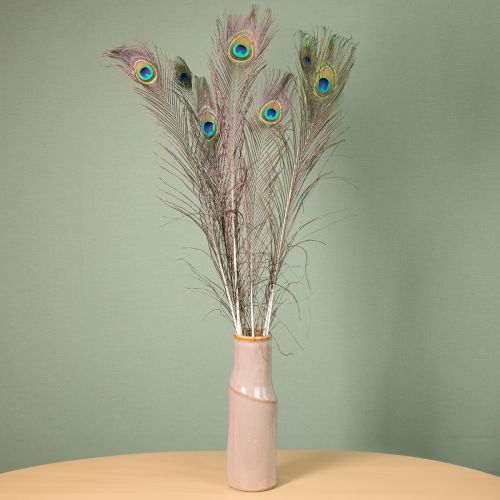 Artículo Plumas de pavo real decorativas, plumas de ave reales, largo 75-85 cm, 8 piezas