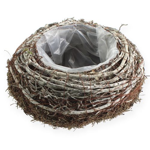 Floristik24 Plato para plantar Ø18cm