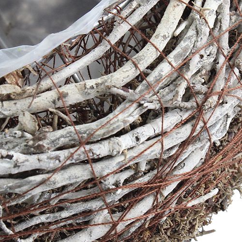 Floristik24 Plato para plantar Ø18cm