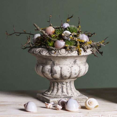 Floristik24 Cuenco para plantas pequeño macetero trofeo hormigón antiguo Ø15cm H13cm